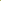 Hydrangea ‘Bee Green’