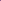 Crocus 'Whitewell Purple'