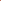 Rhubarb ‘Red Champagne’